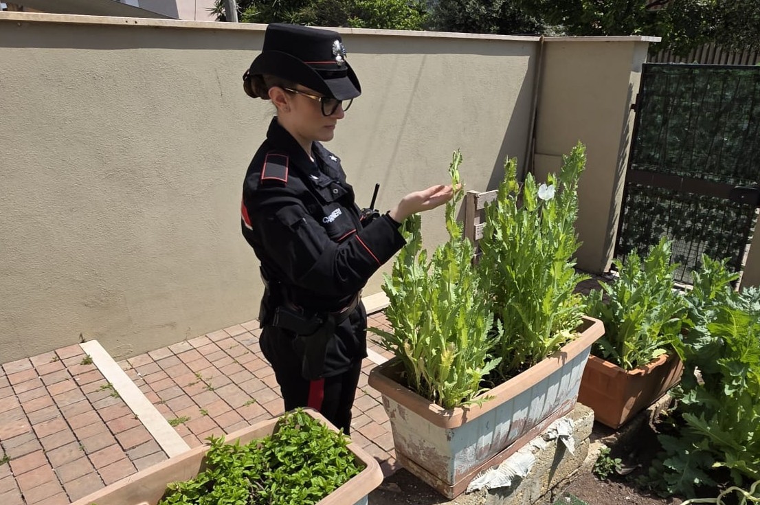 ANZIO_-_Controlli_a_Lavinio__4_