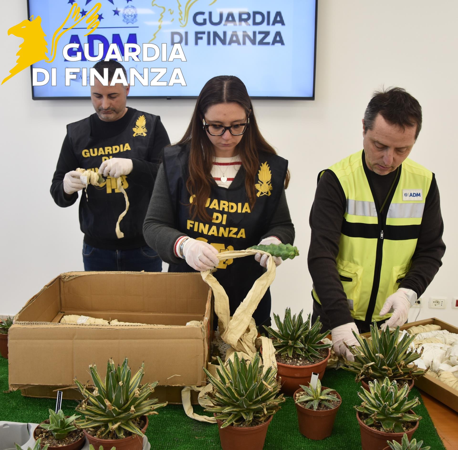 gdf_86506_2