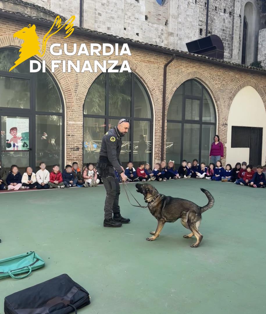 gdf_86578_1