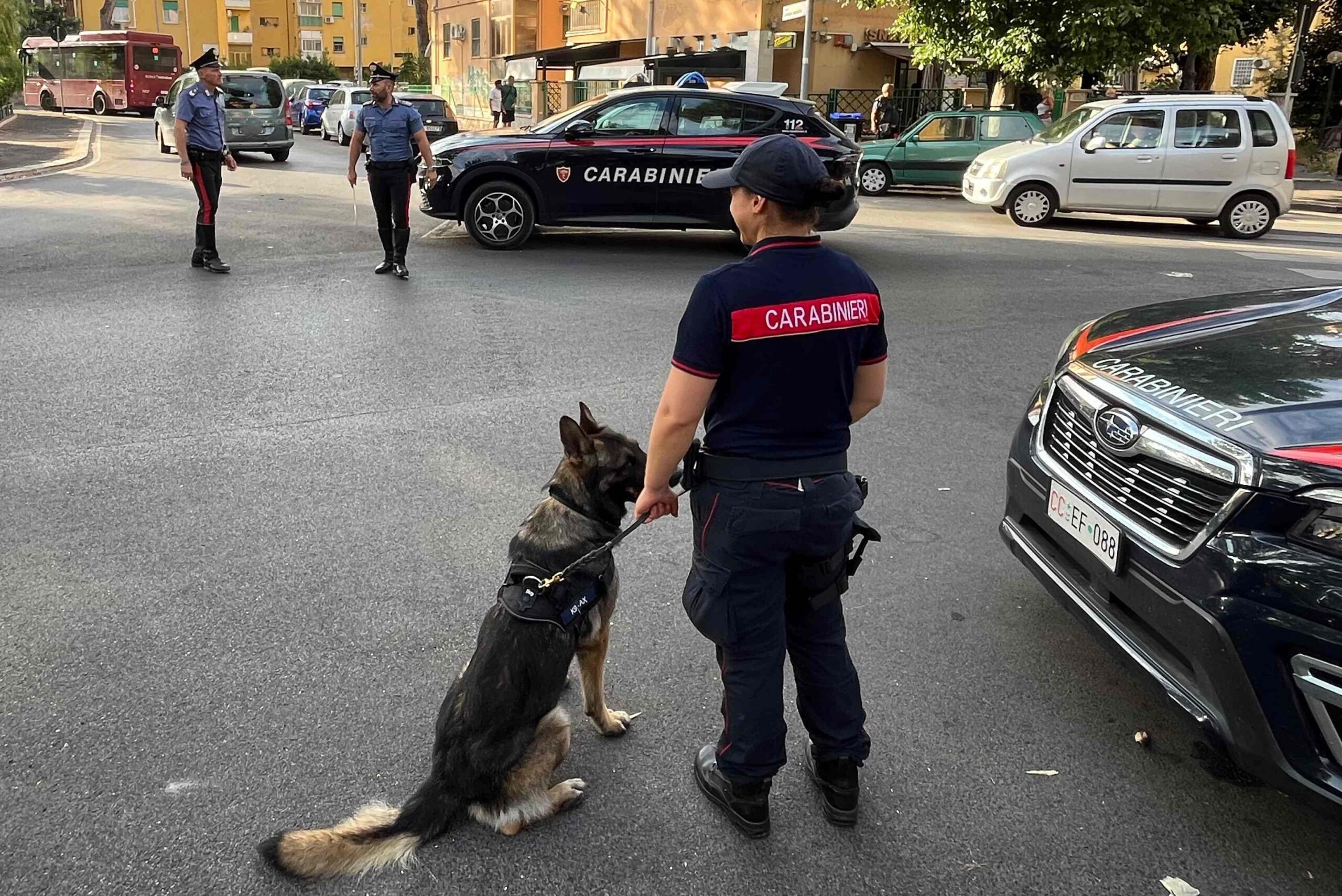 OSTIA_-_Le_attivit__dei_Carabinieri_in_zona_Acilia___1_