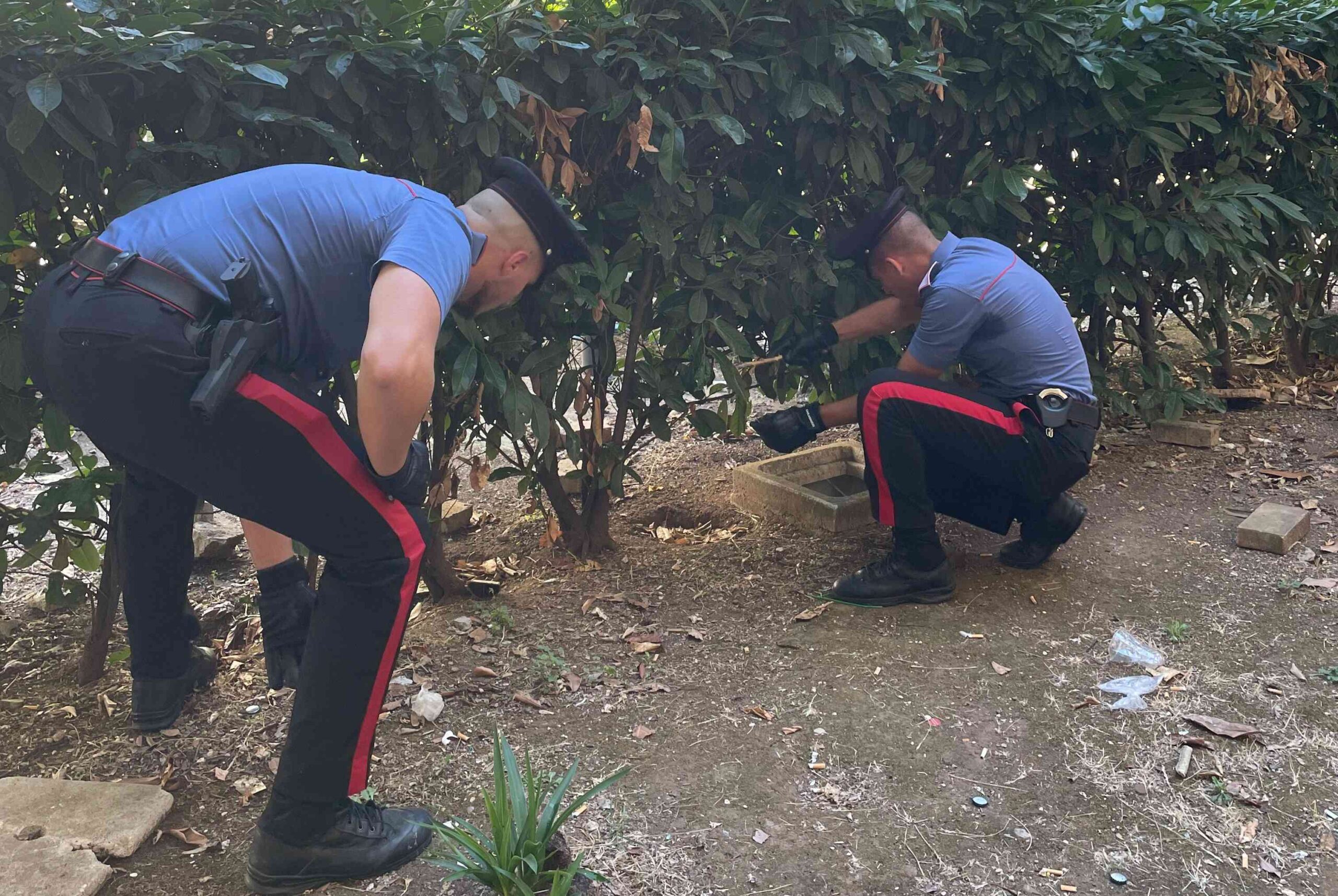 PROVINCIALE_-_Blitz_antidroga_dei_Carabinieri__2_