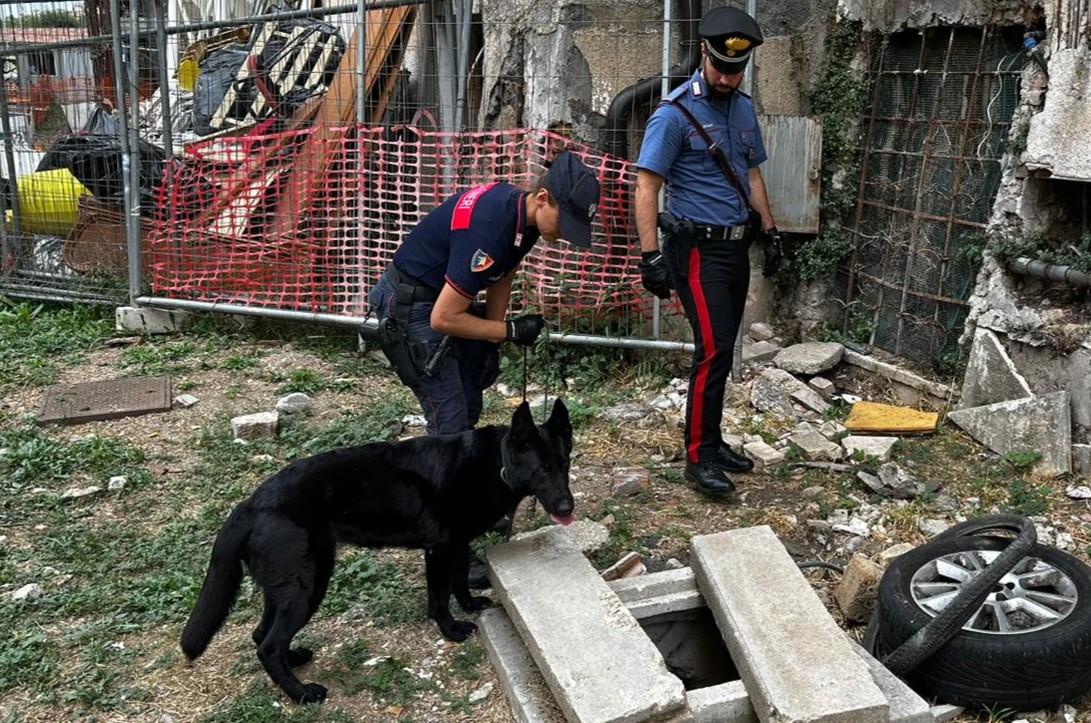 PROVINCIALE_-_Controlli_e_sequestri_di_droga_dei_Carabinieri__2_