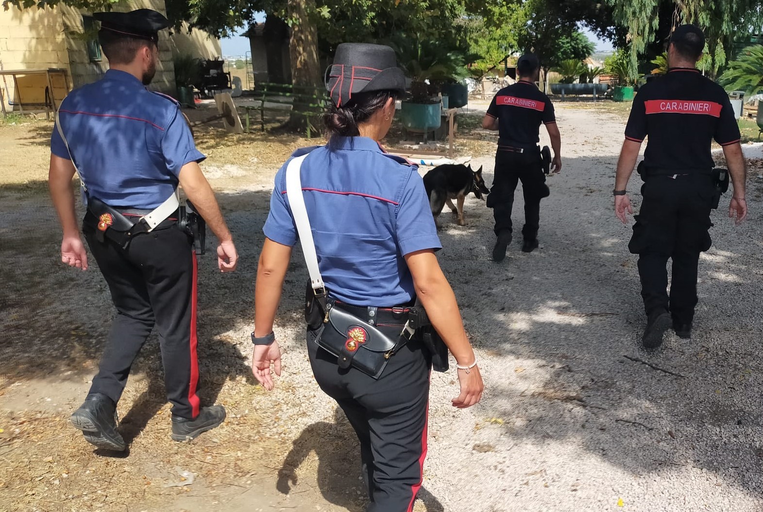 PROVINCIALE_-_Controlli_e_sequestri_di_droga_dei_Carabinieri__5_