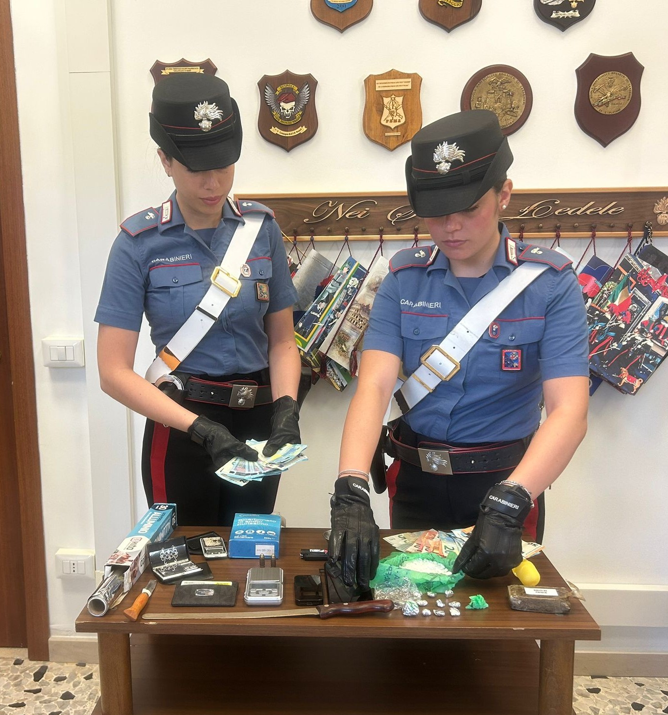 VELLETRI_-_La_droga_e_il_materiale_sequestrati_dai_Carabinieri__1_