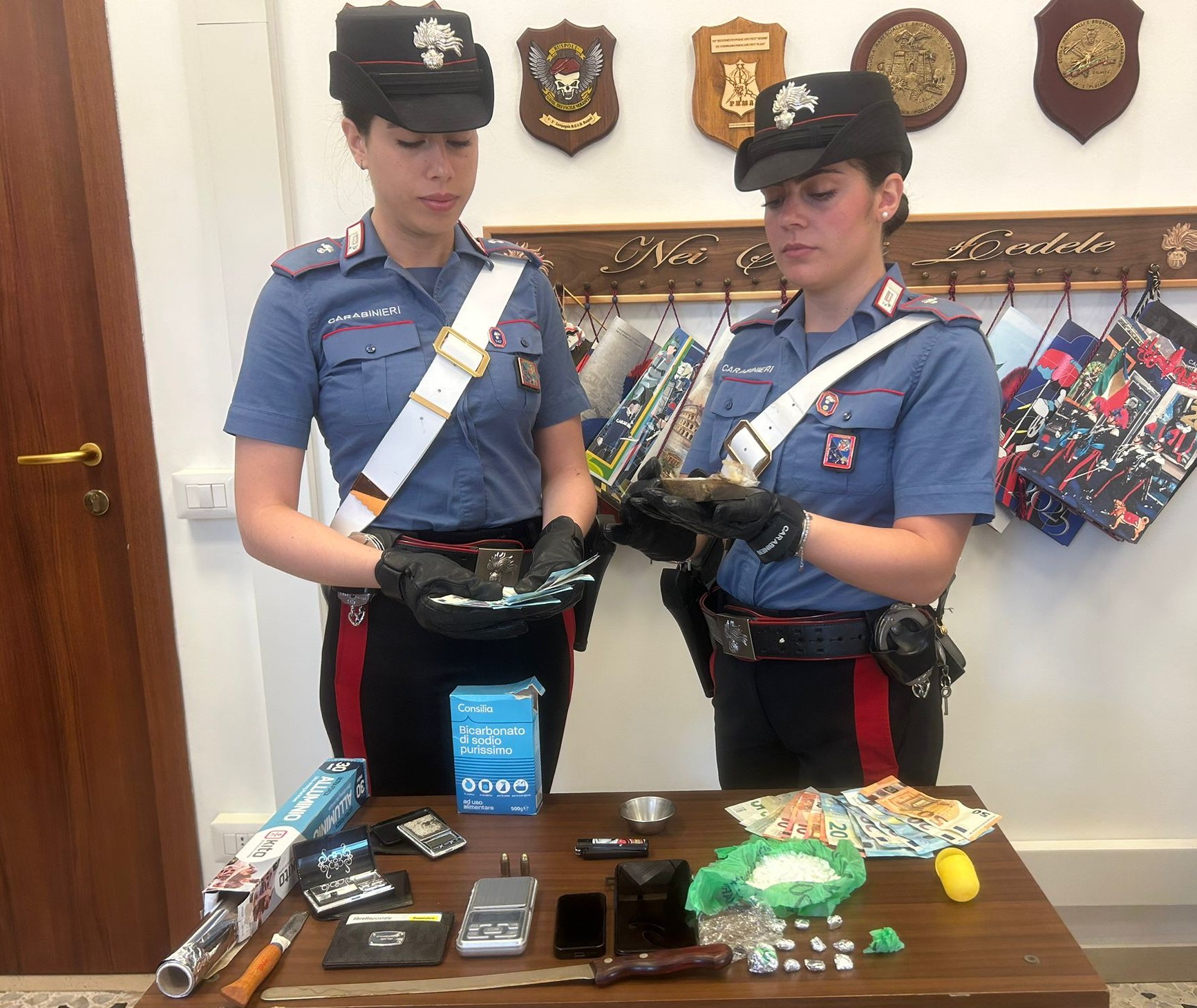 VELLETRI_-_La_droga_e_il_materiale_sequestrati_dai_Carabinieri__2_