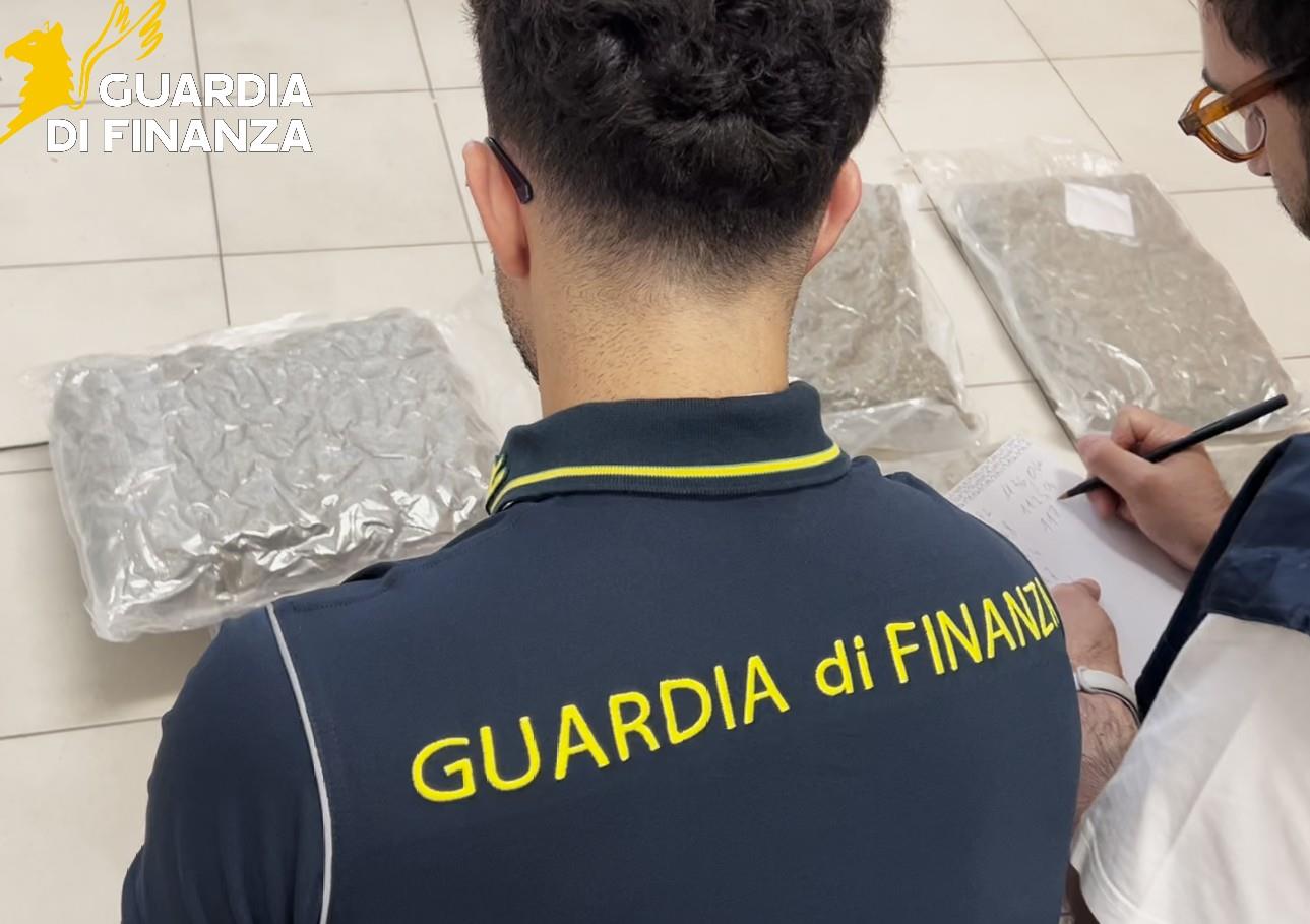gdf_87837_1