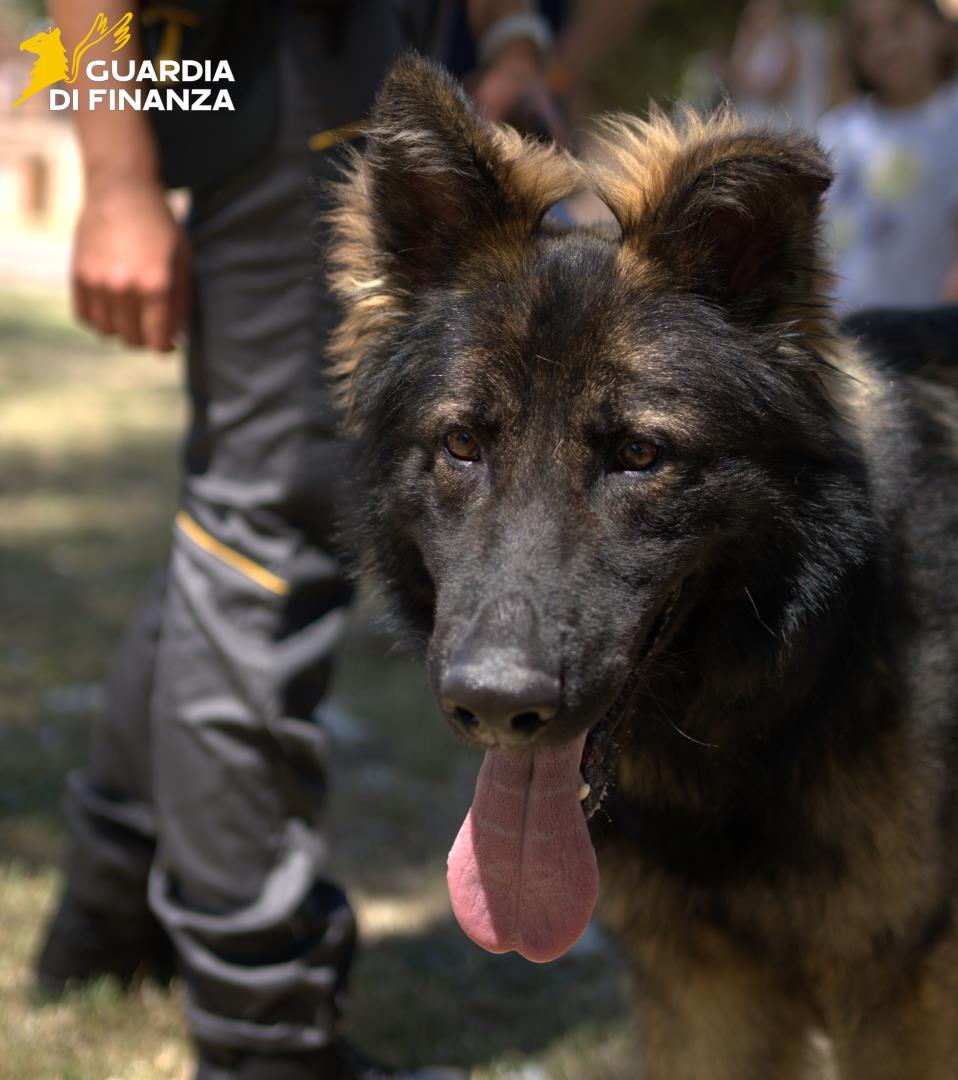 gdf_87876_4