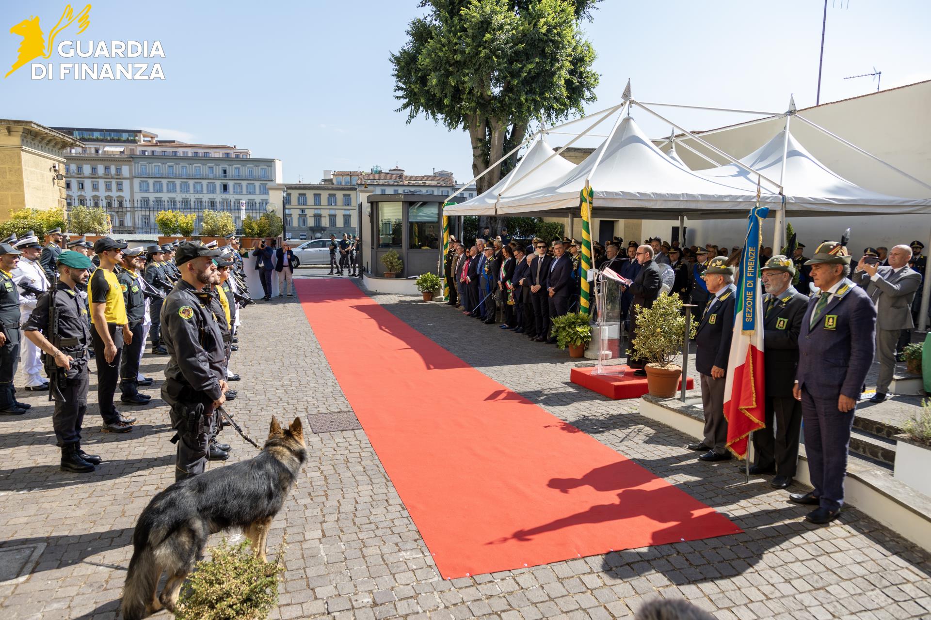 gdf_88019_3