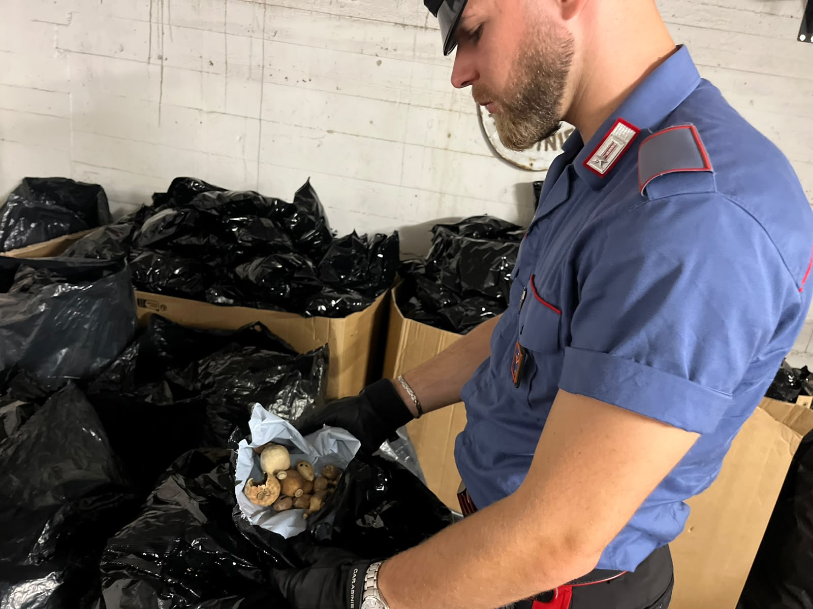 ANZIO_-_102_kg_di_oppio_sequestrati_dai_Carabinieri__3_