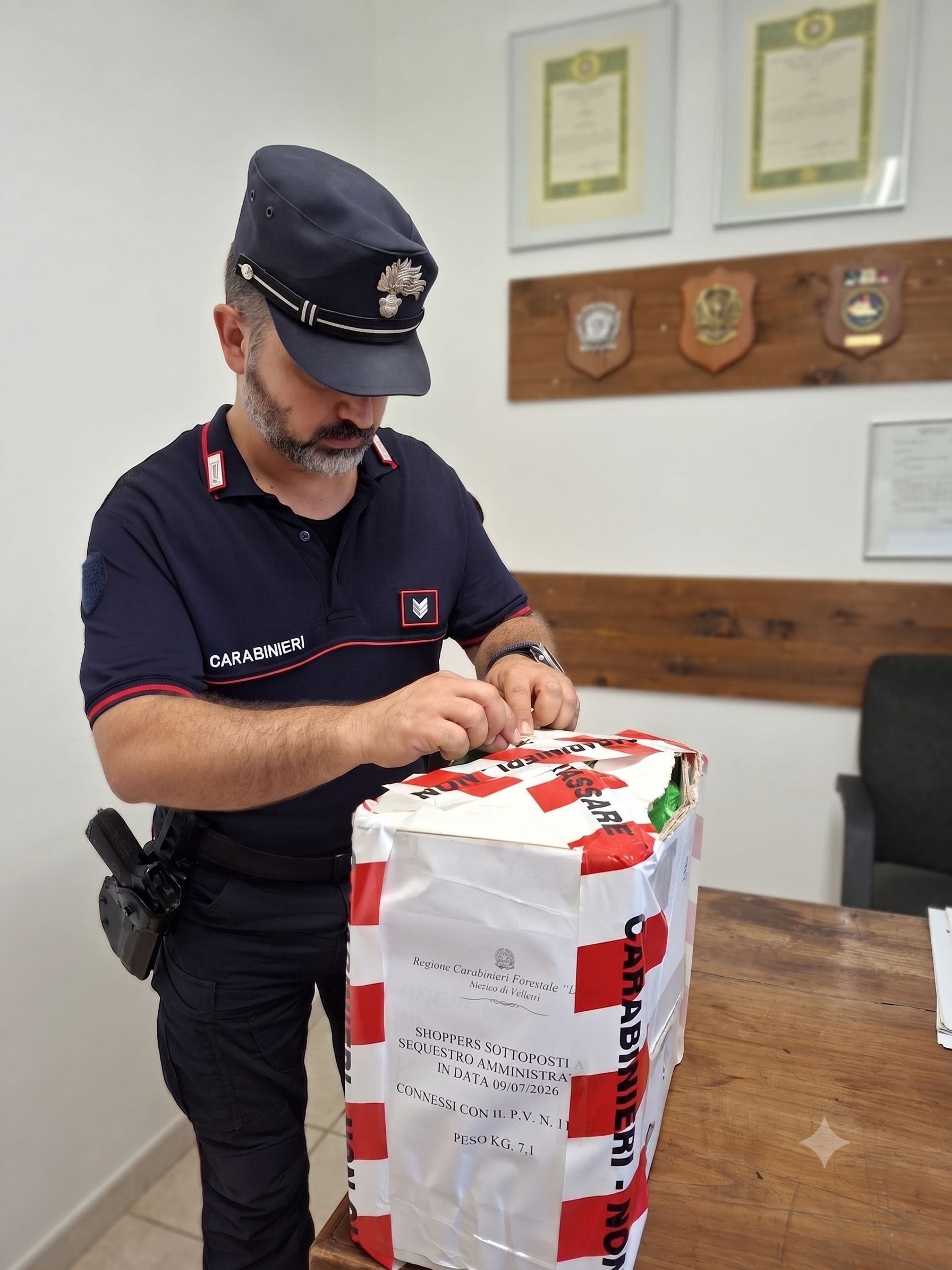 GRUPPO_FORESTALE_-_I_Carabinieri__2_