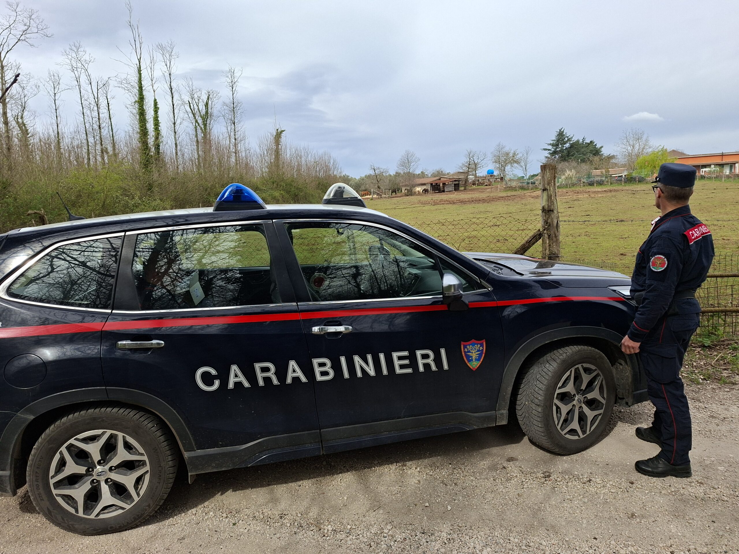 GRUPPO_FORESTALE_-_Intervento_dei_Carabinieri_Forestali___5_
