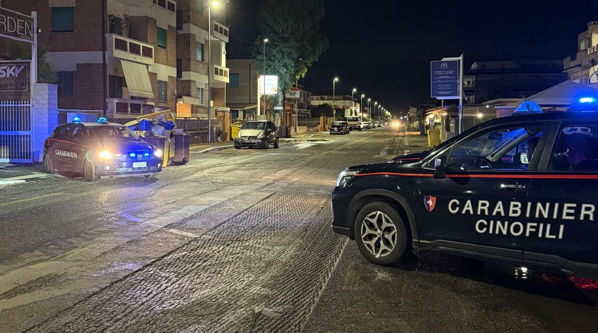 POMEZIA_-_I_controlli_dei_Carabinieri__2_