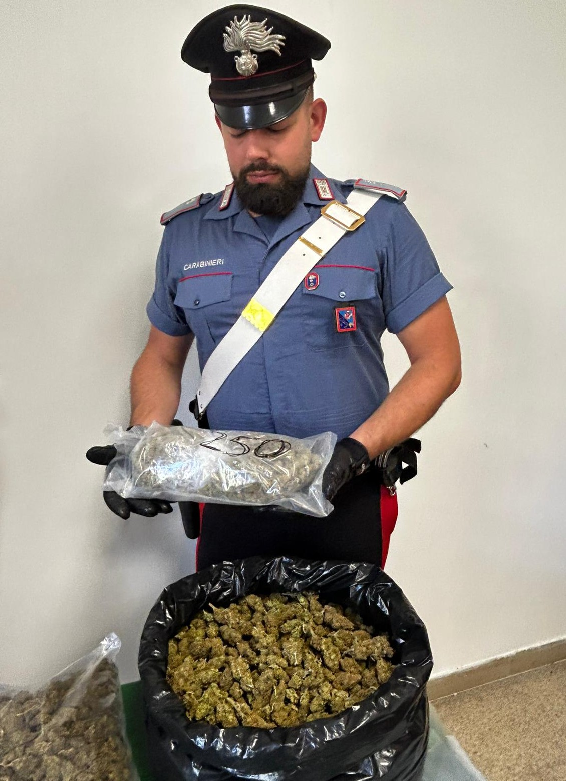 PROVINCIALE_-_La_droga_sequestrata_dai_Carabinieri_della_Stazione_Roma_Bravetta__1_