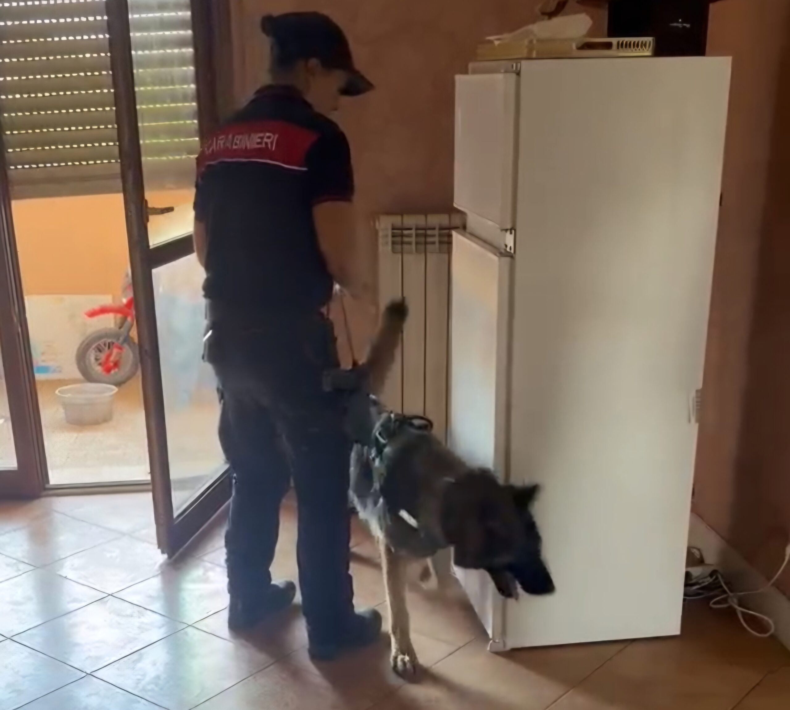 POMEZIA_-_I_Controlli_dei_Carabinieri__1_