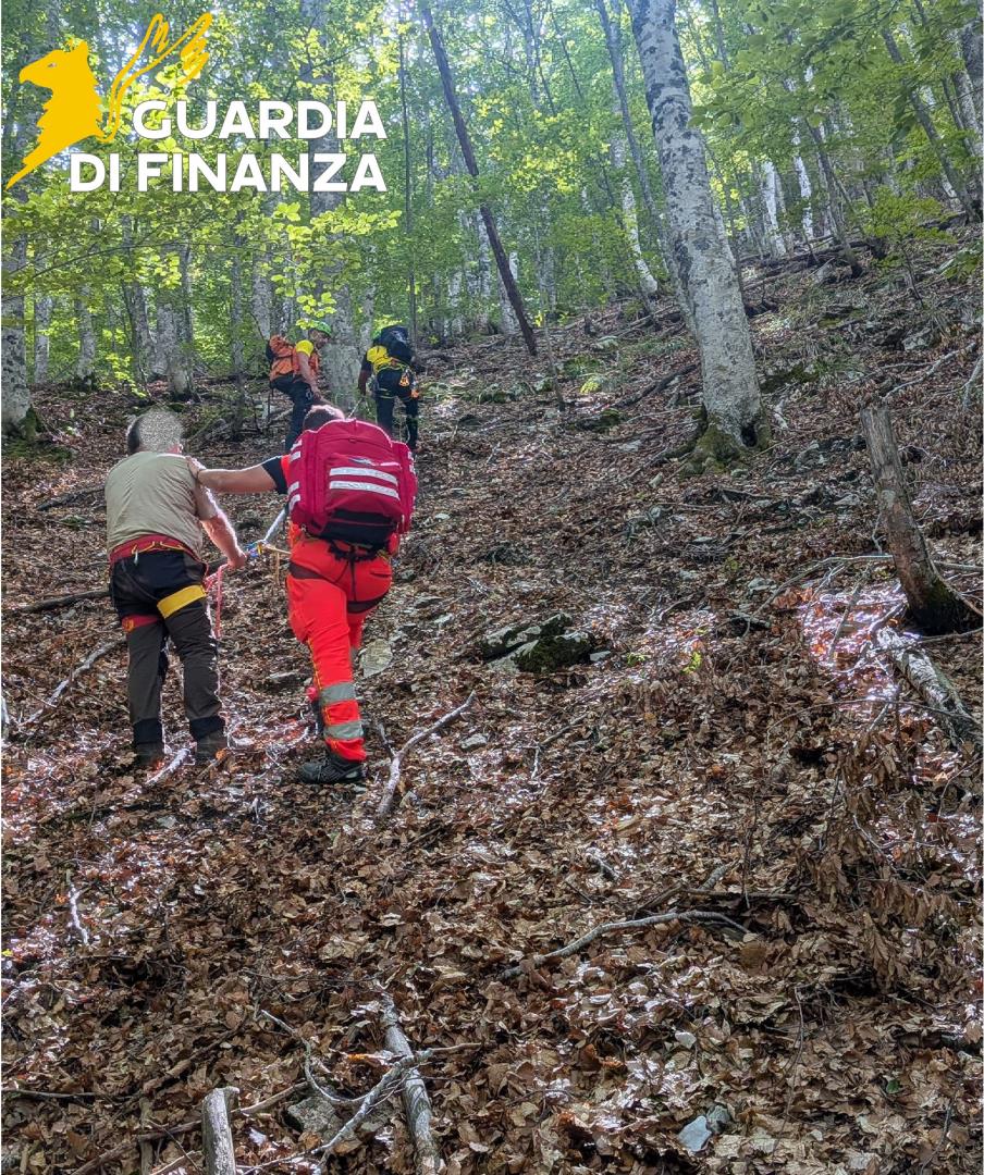 gdf_93946_2