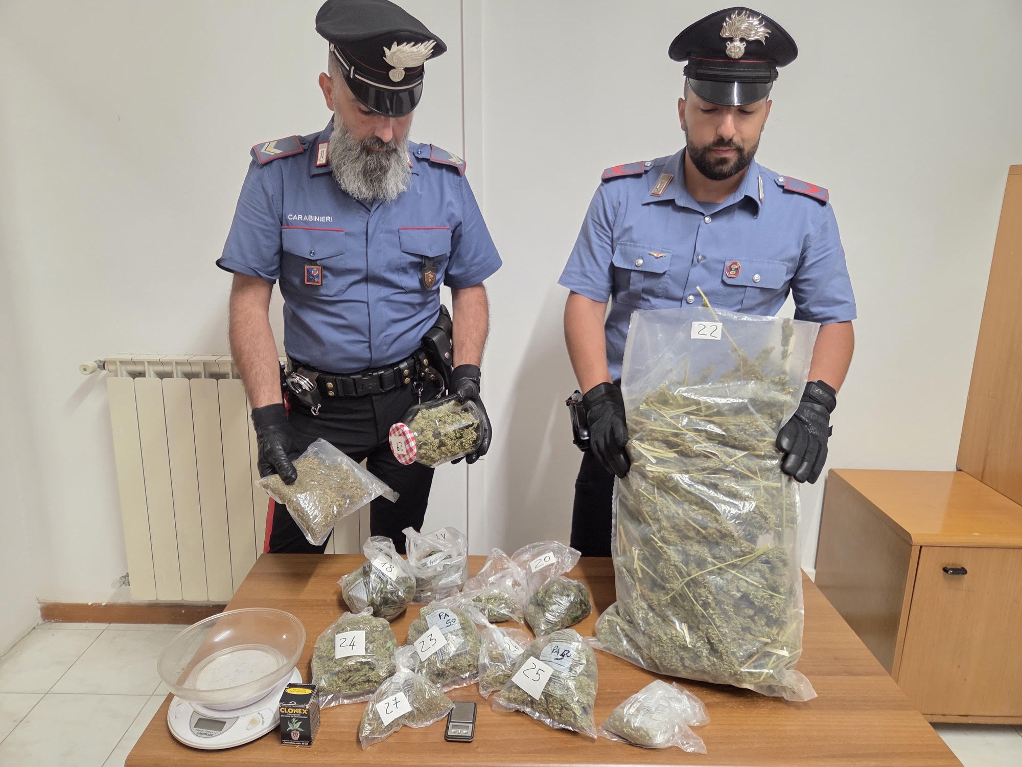 ANZIO_-_La_serra_illegale_scoperta_dai_Carabinieri__1_