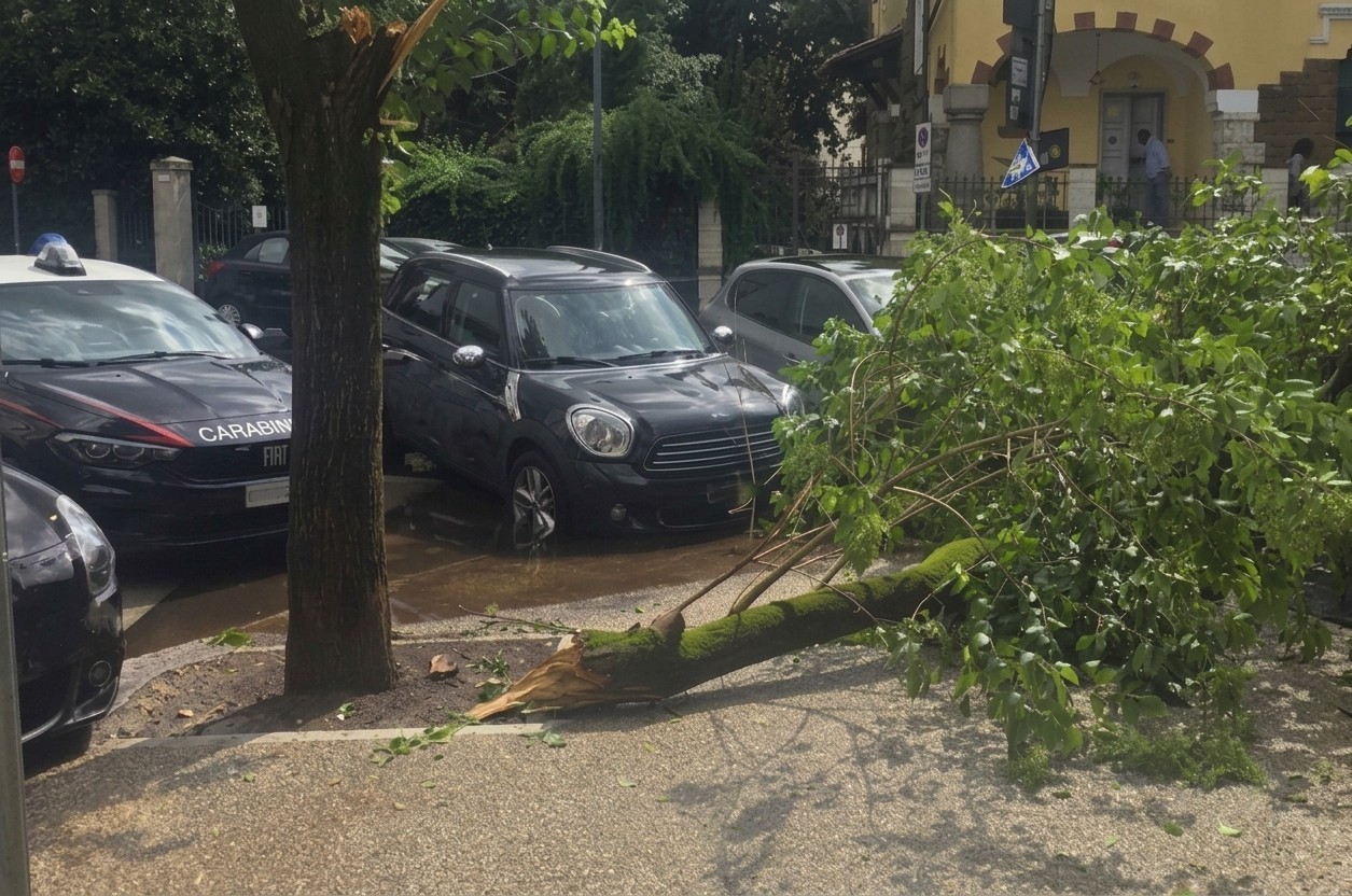 PARIOLI_-_I_Carabinieri_intervenuti_a_seguito_della_caduta_del_ramo_nei_pressi_di_un_liceo__1_
