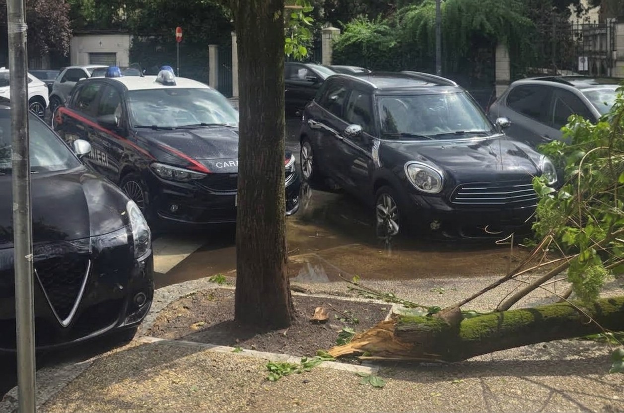 PARIOLI_-_I_Carabinieri_intervenuti_a_seguito_della_caduta_del_ramo_nei_pressi_di_un_liceo__2_