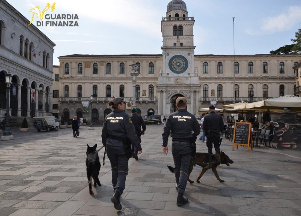 gdf_94339_3