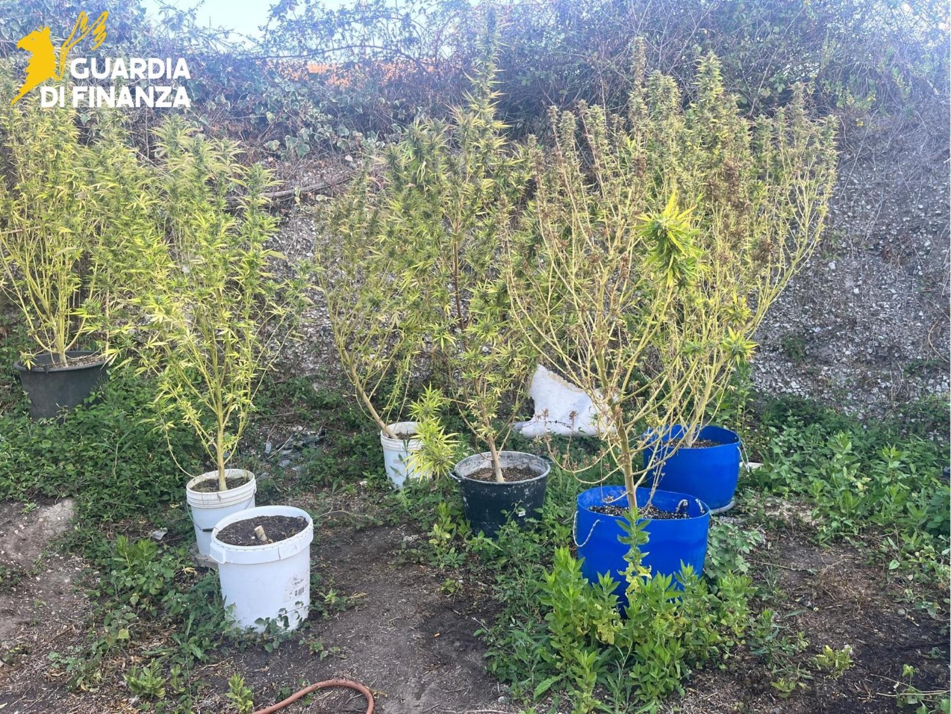 gdf_95404_2