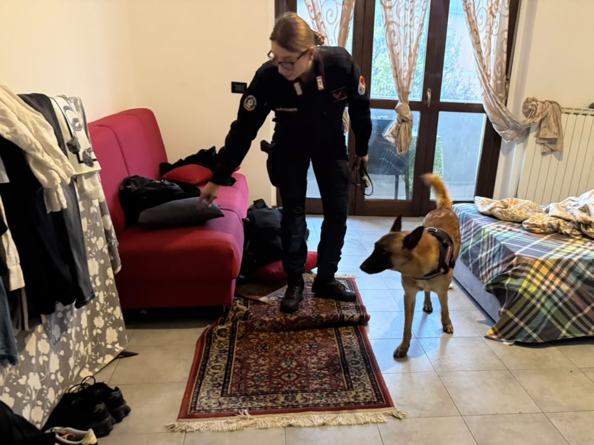 CASSIA_-_I_Controlli_dei_Carabinieri__1_
