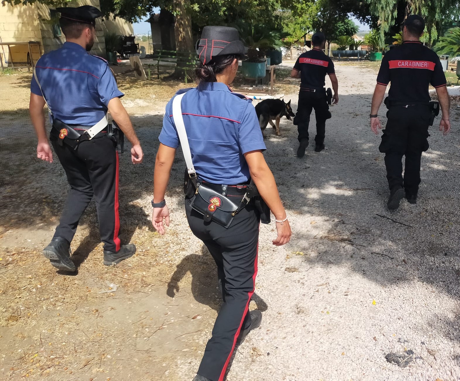 PROVINCIALE_-_Attivit__antidroga_dei_Carabinieri__1__