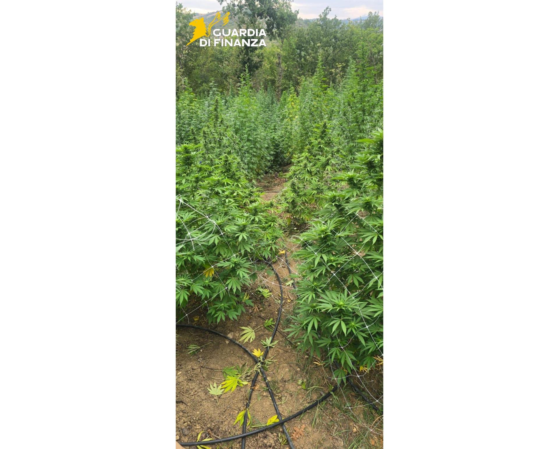 gdf_95444_2