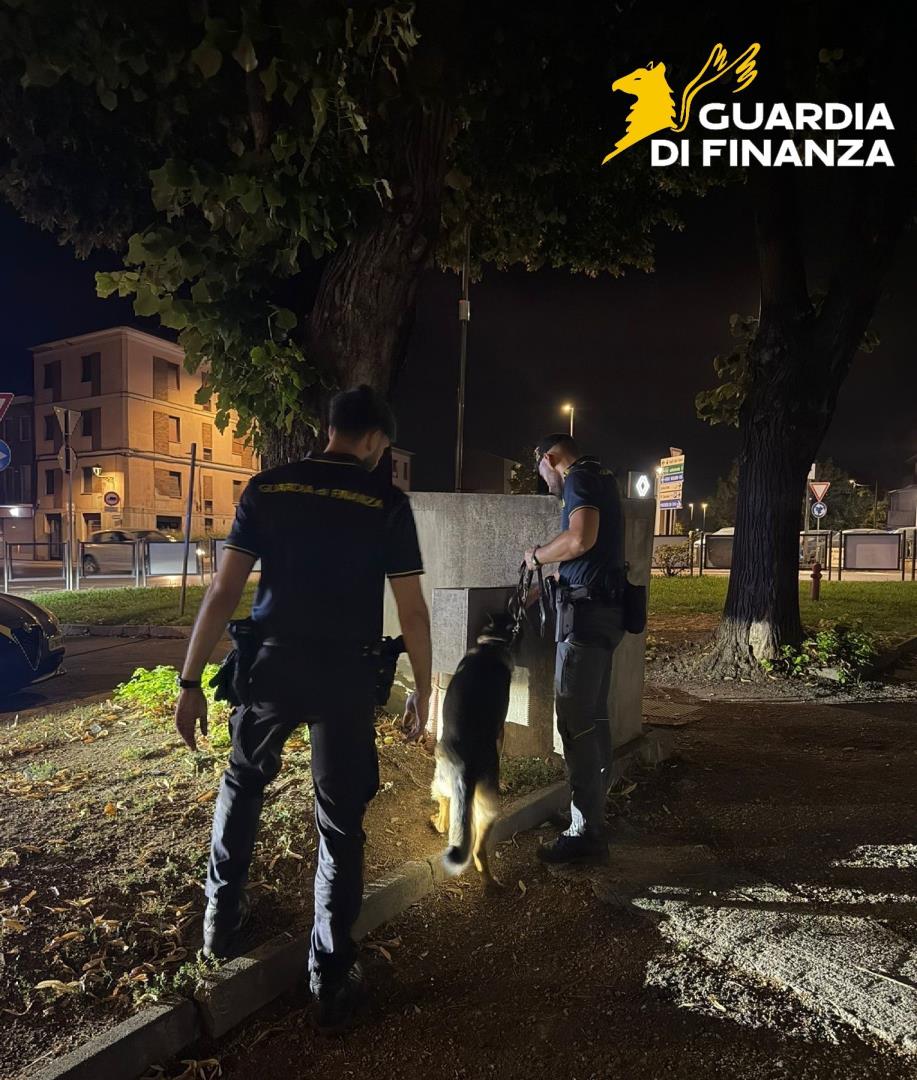 gdf_96634_0