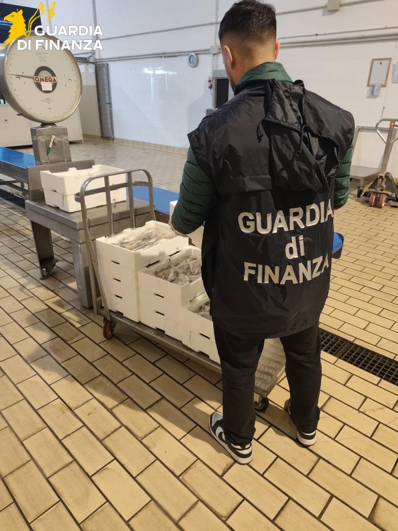 gdf_96684_1