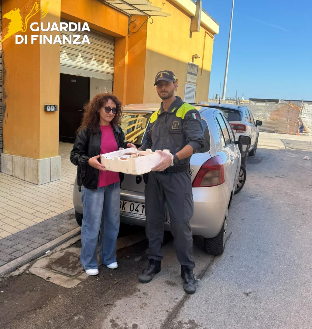 gdf_96684_3
