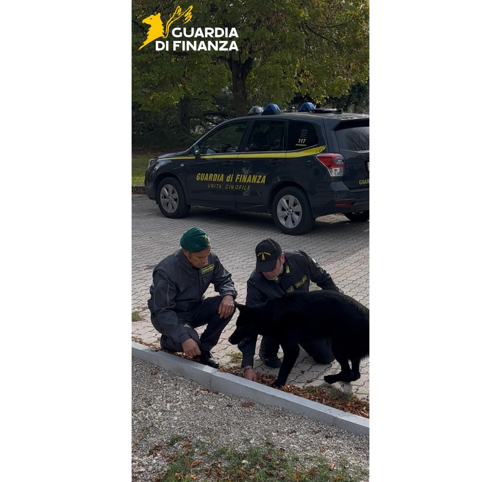gdf_96814_0